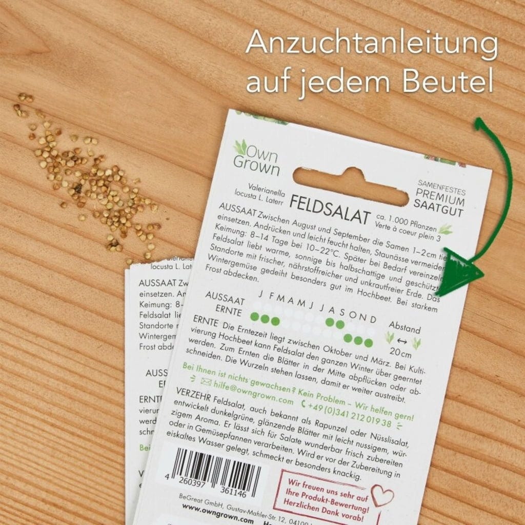  Salat-Samen-Set
