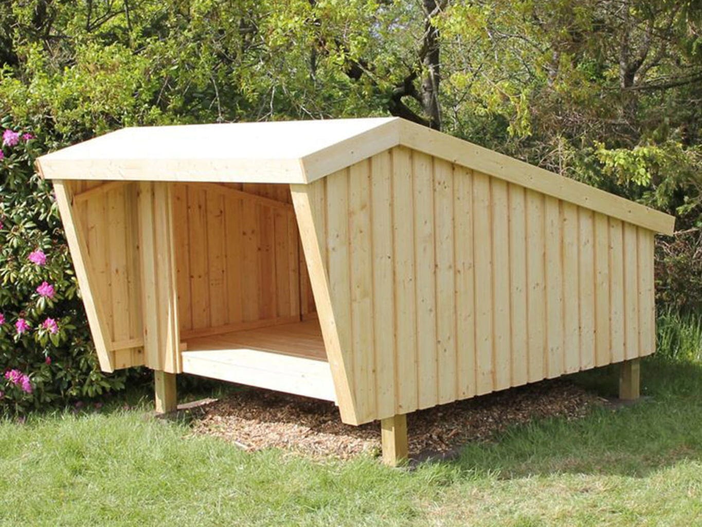 Plus Shelter - Unbehandeltes Holz | Inkl. Dachpappe & Aluleisten