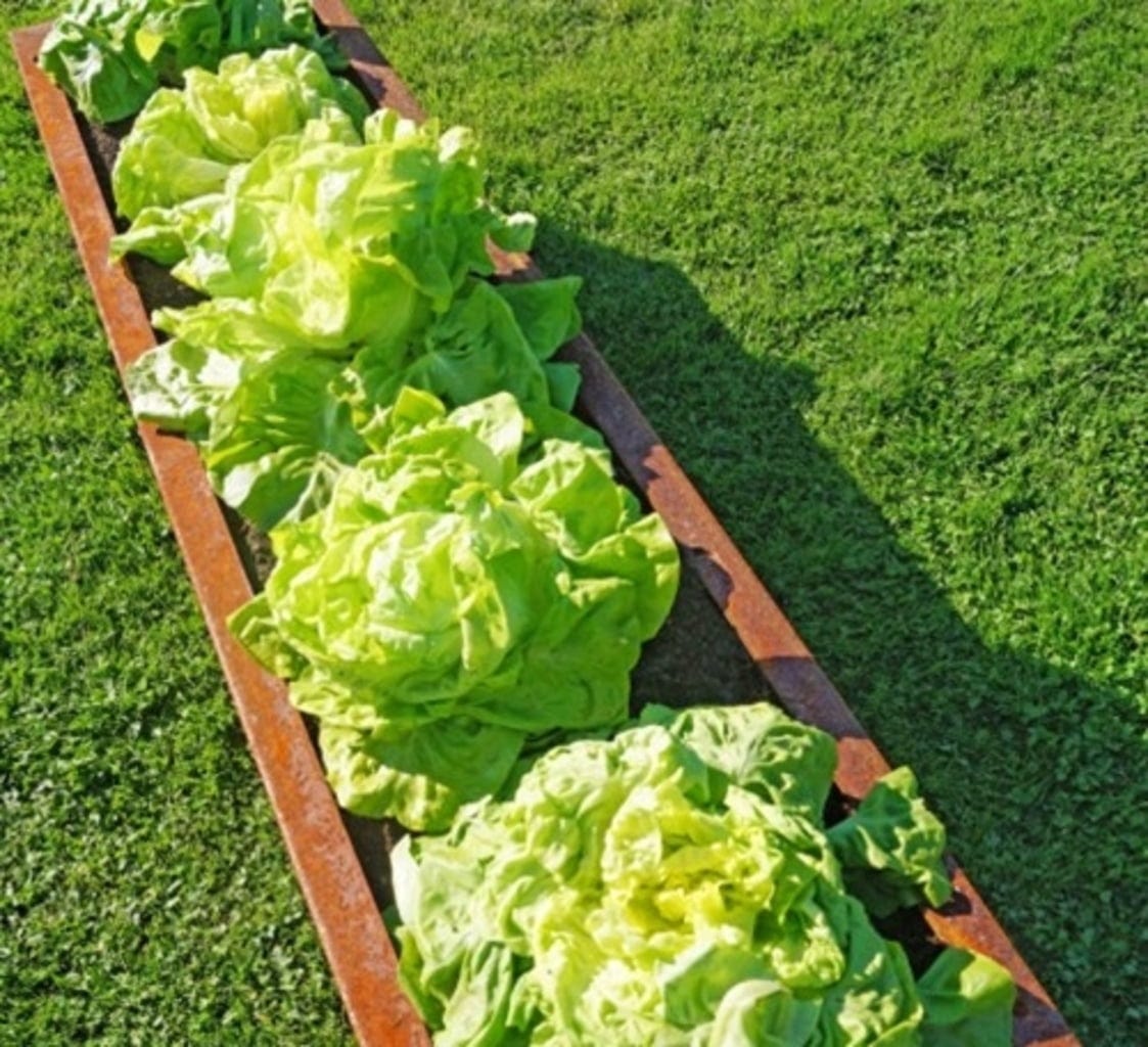  Hochbeet Edelrost "Planus", 158 X 38 Cm