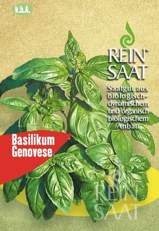  Basilikum "Genovese"