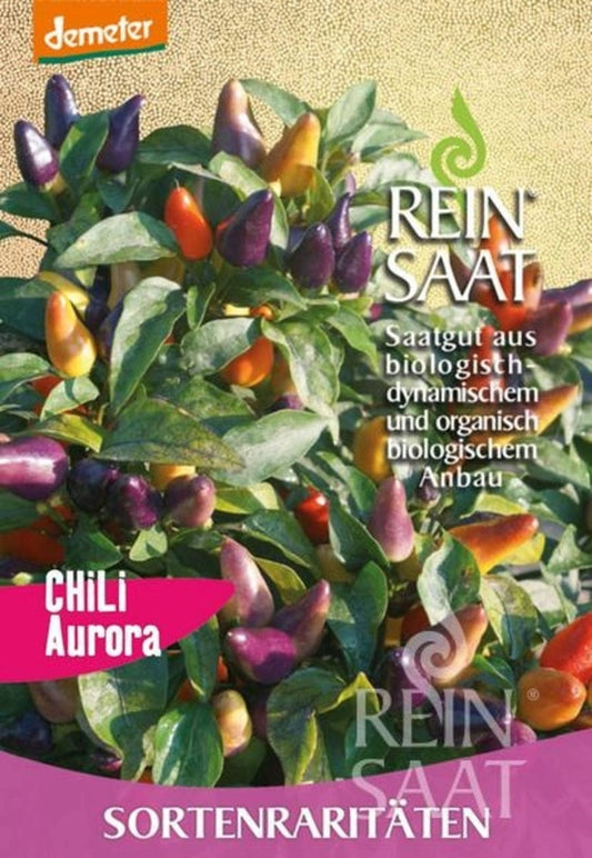  Chili "Aurora"