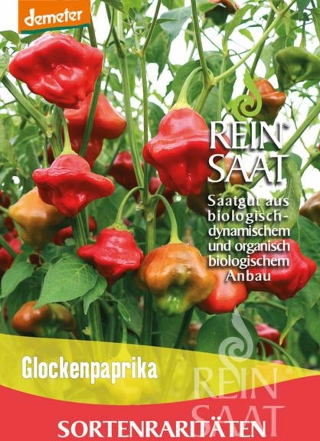  Paprika "Glockenpaprika"