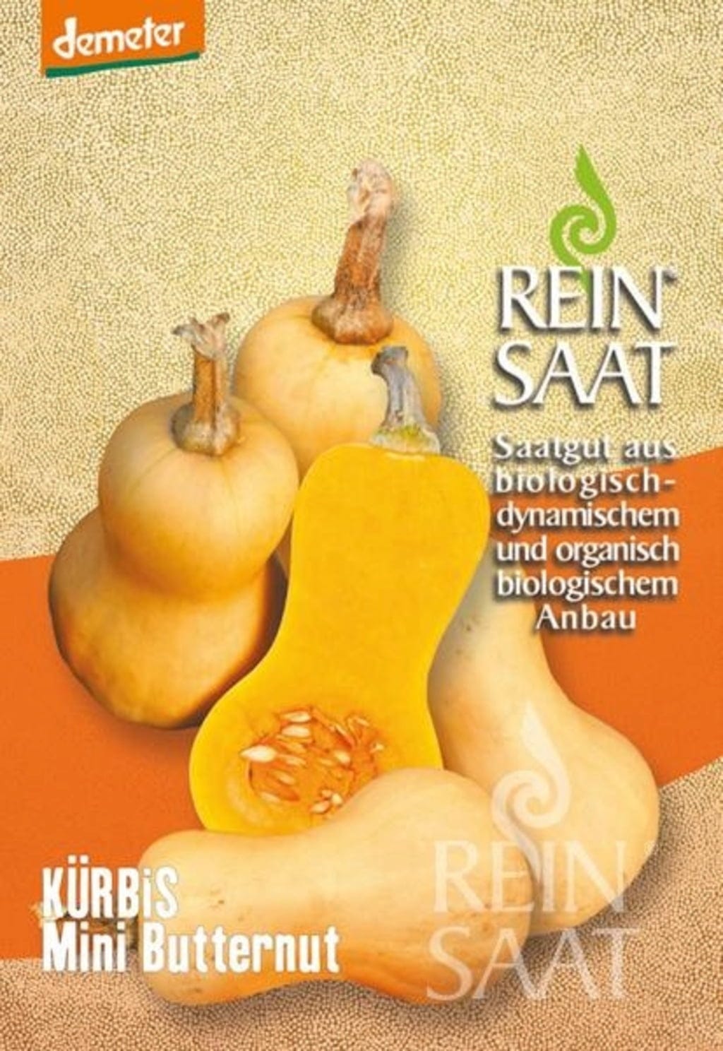  Speisekürbis "Mini Butternut"