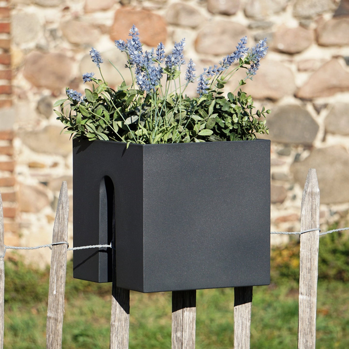  Pflanzbehälter "Steckling Cube", Graphit (anthrazit)