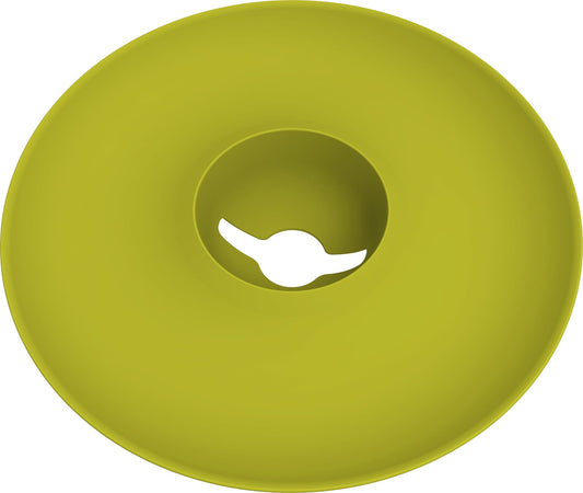  Avocado Kit Für Die Anzucht
