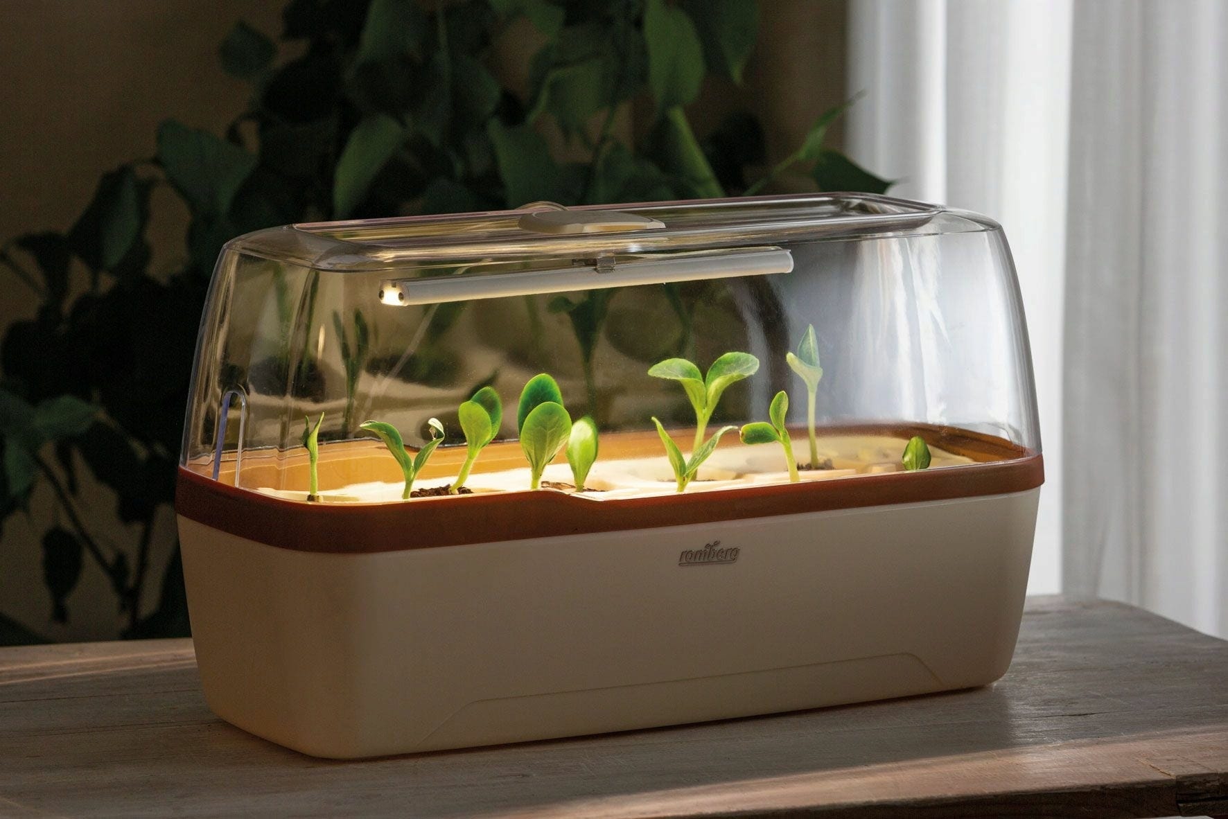 Gewächshaus & Pflanzkasten BoQube L PLUS LED - Creme-Kupferbraun