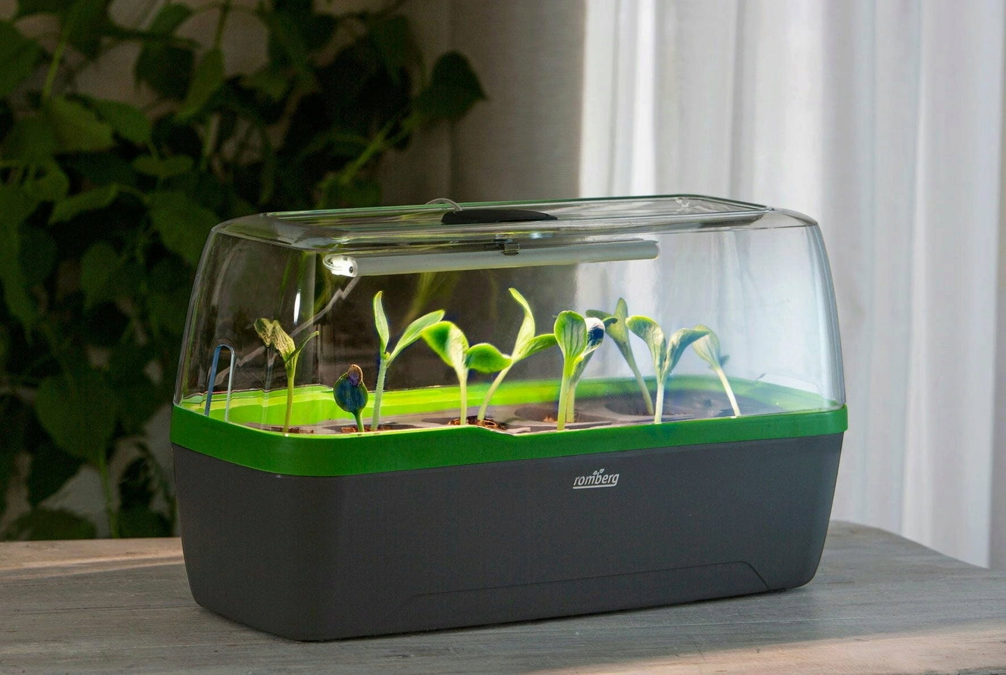  Gewächshaus & Pflanzkasten BoQube L PLUS LED - Anthrazit-Sommergrün
