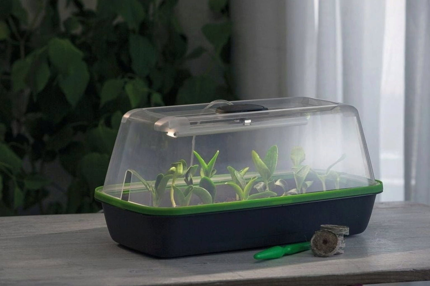  Gewächshaus & Pflanzkasten BoQube M PLUS LED & Heizmatte - Anthrazit-Sommergrün
