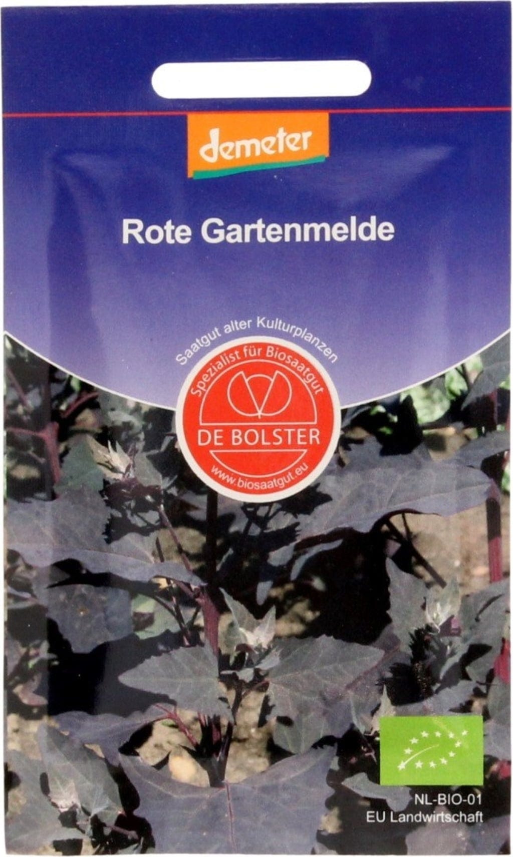  Rote Gartenmelde, 5 G