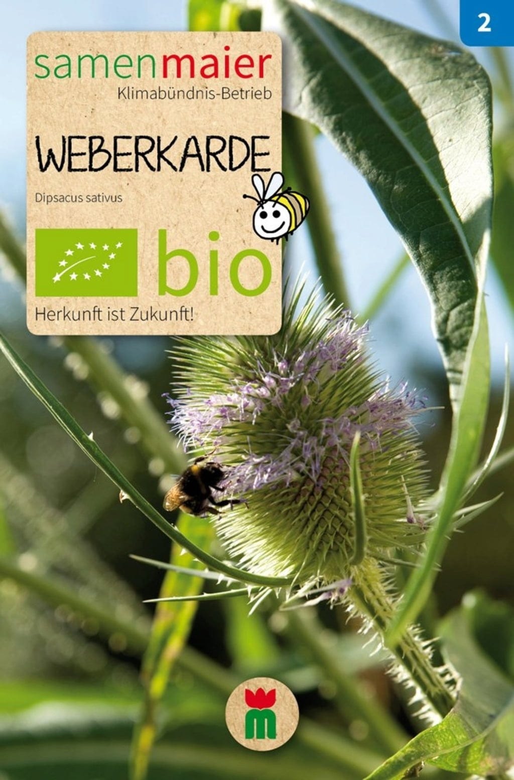  Bio Beet-Box "Raritätenbox Für Besondere"