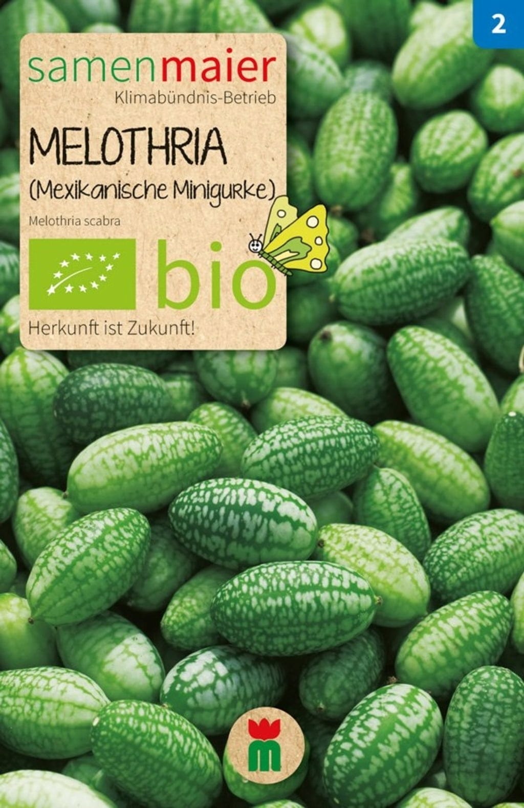  Bio Beet-Box "Raritätenbox Für Besondere"