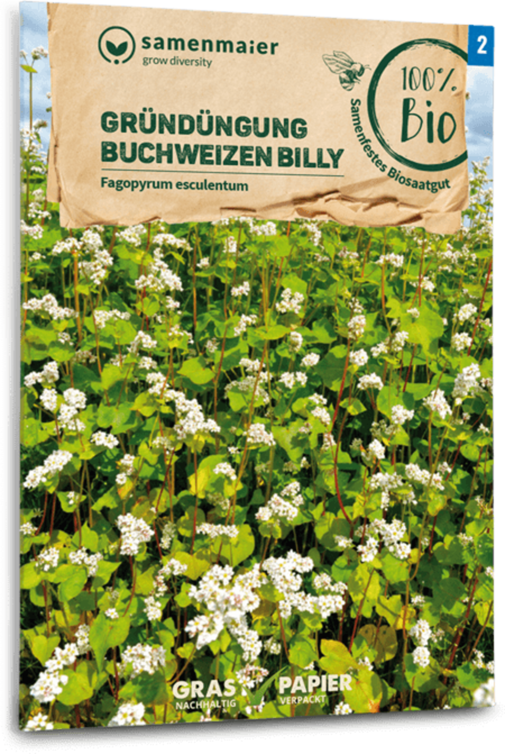  Bio Buchweizen "Billy"