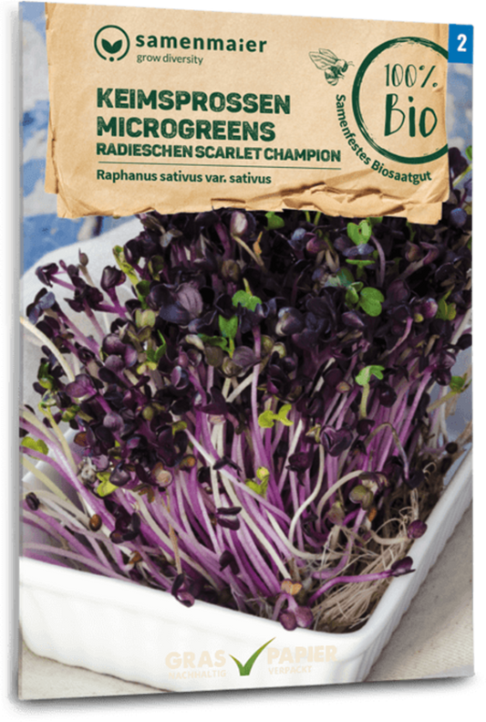  Bio Keimsprossen/Microgreens - Radieschen "Scarlet Champion"