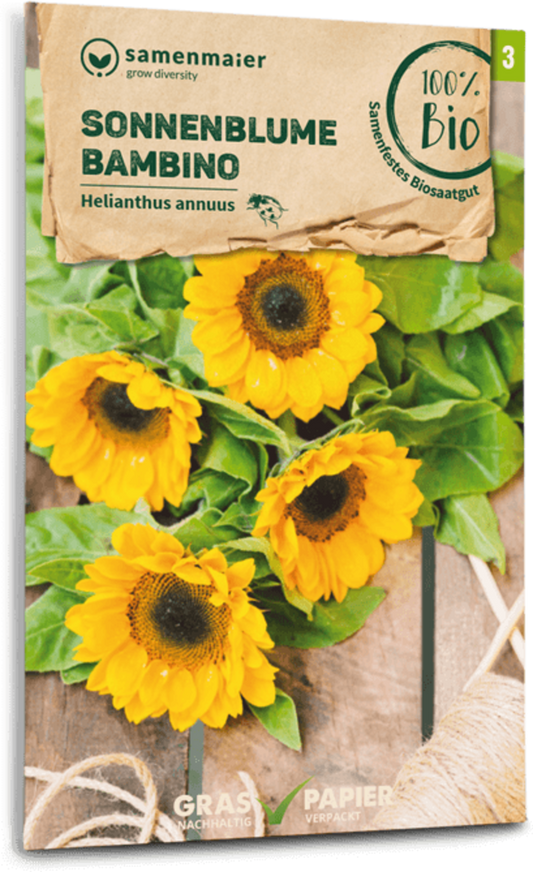  Bio Sonnenblume "Bambino"