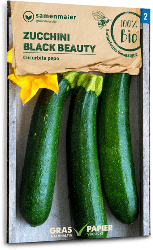  Bio Zucchini "Black Beauty"