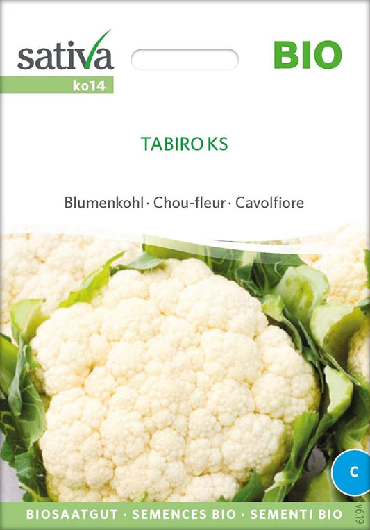  Bio Blumenkohl "Tabiro KS"