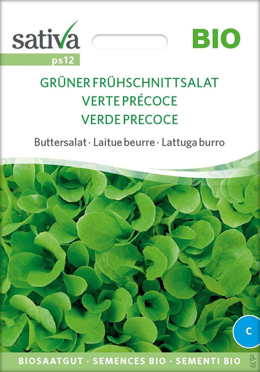  Bio Buttersalat "Grüner Frühschnittsalat"