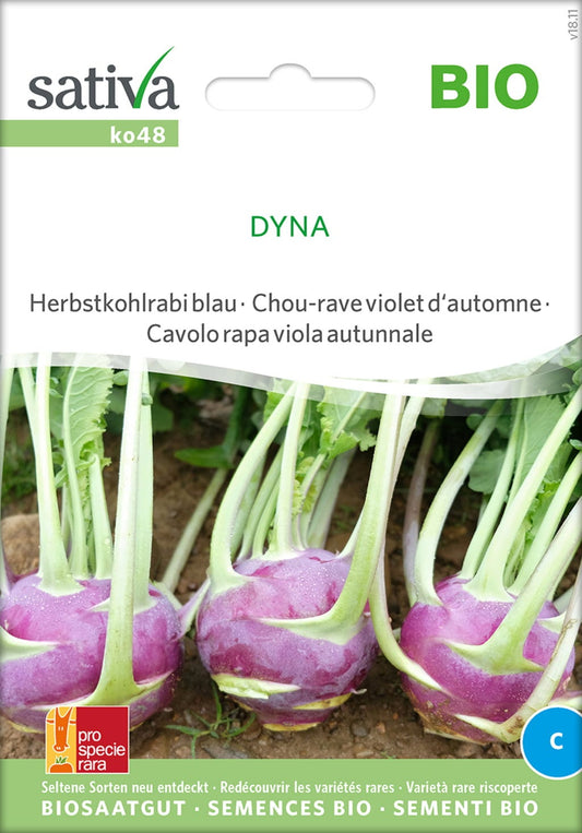  Bio Herbstkohlrabi Blau "Dyna"