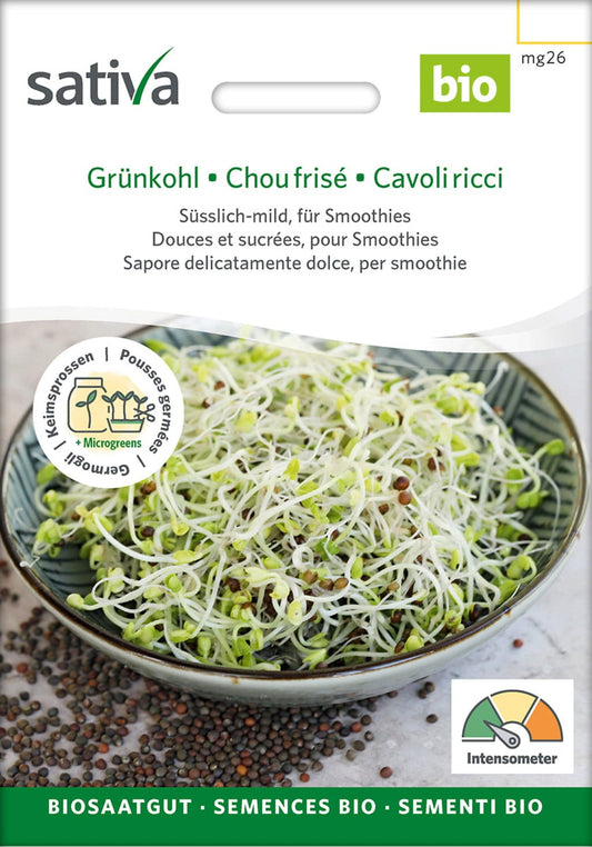  Bio Keimsprossen "Grünkohl"