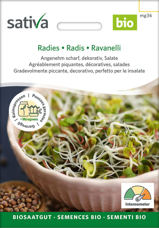  Bio Keimsprossen "Radies"