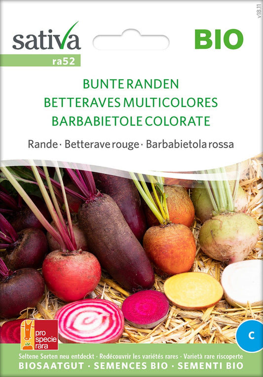  Bio Rande / Rote Rübe "Bunte Randen"