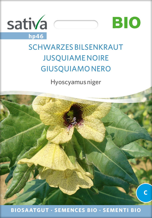  Bio Schwarzes Bilsenkraut
