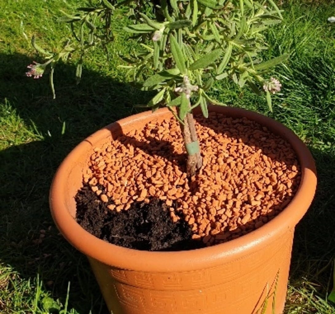  Bio-Pflanz-Granulat Für Hochbeete, Balkon- & Kübelpflanzen, 12,50 L