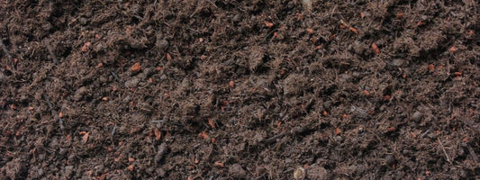  Bio Blumenerde, 20 Liter