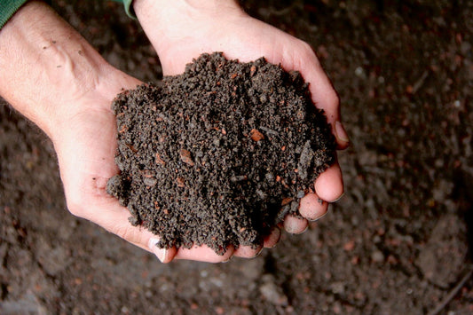  Bio Schwarzerde Im Big Bag, 1 Tonne (1.000 Kg)