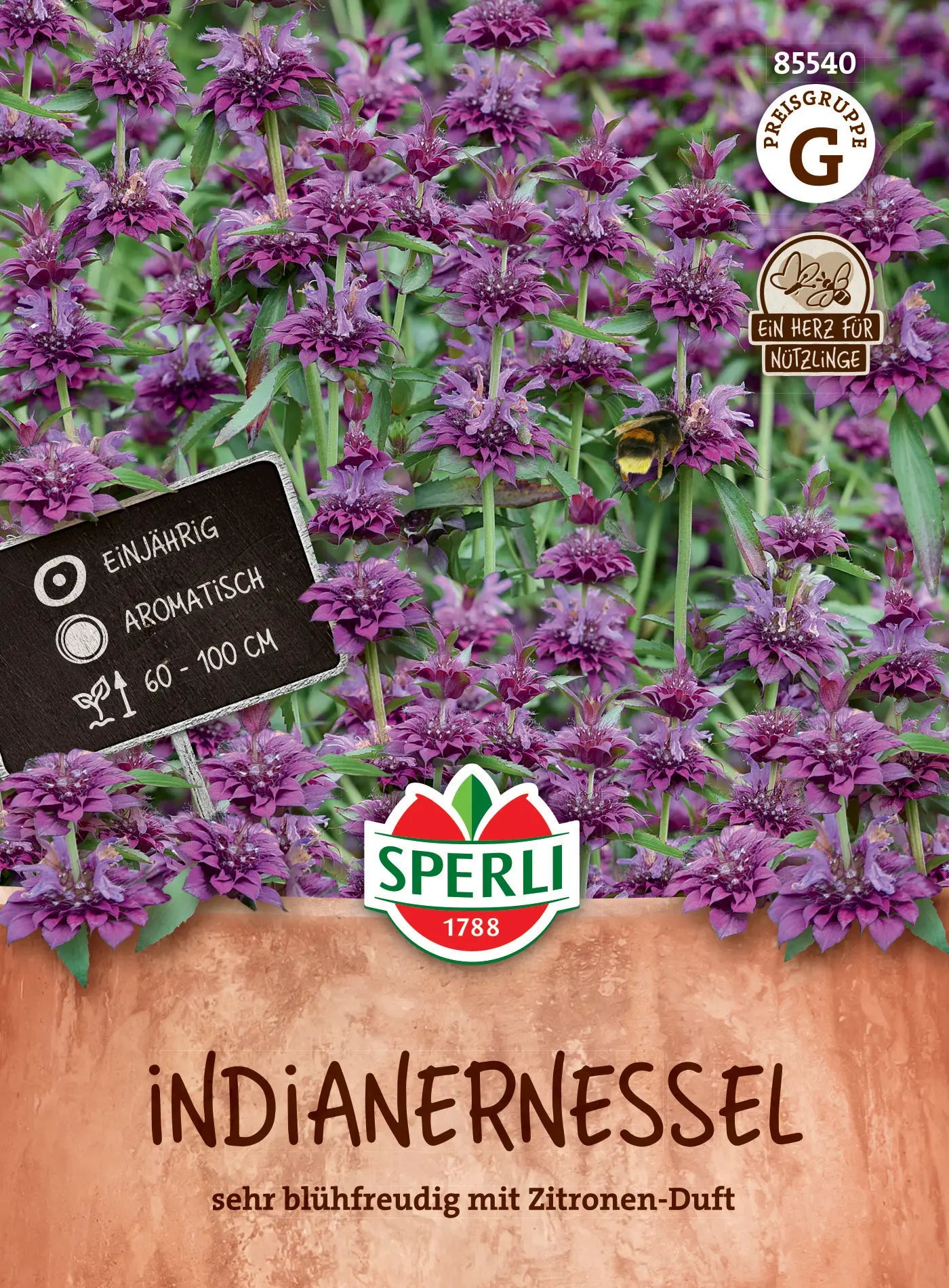  Indianernessel