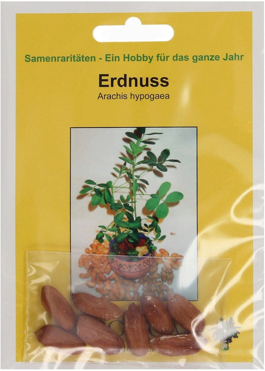  Erdnuss, 8 Korn