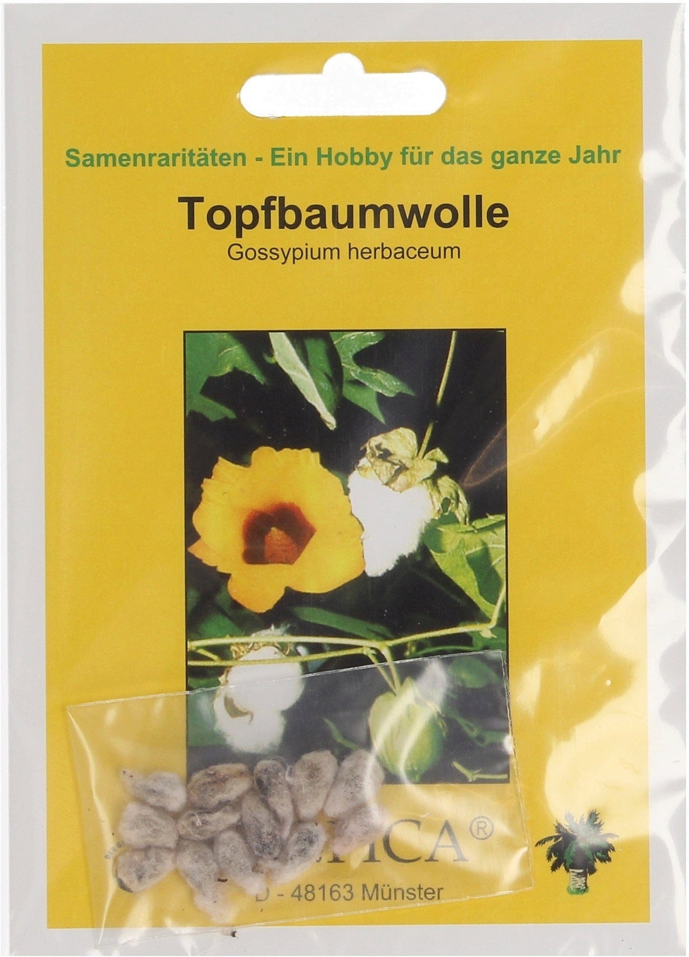  Topfbaumwolle, 12 Korn