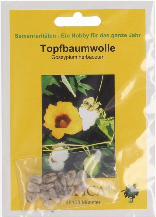  Topfbaumwolle, 12 Korn