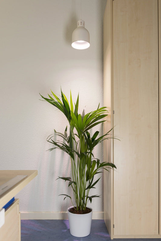  E27 Lampenschirm SAGA - Plug & Play, Rostfarben