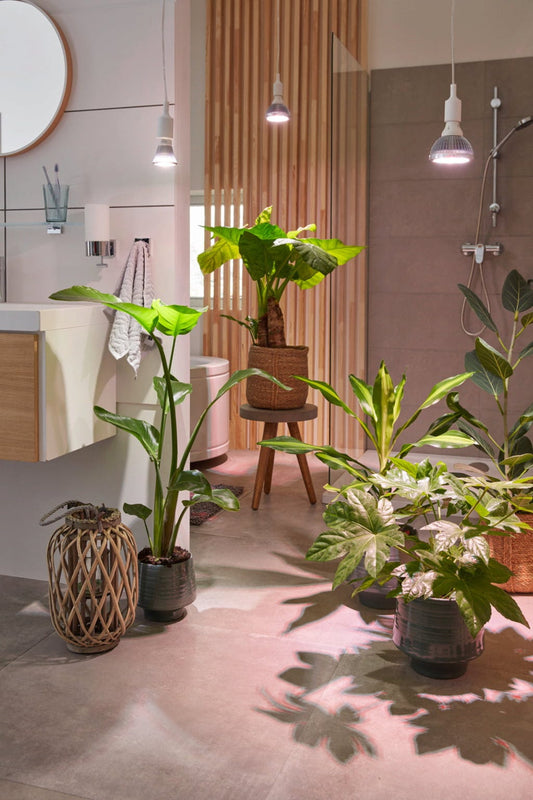  E27 Pflanzenlampe "Indoor Plants", 18 Watt