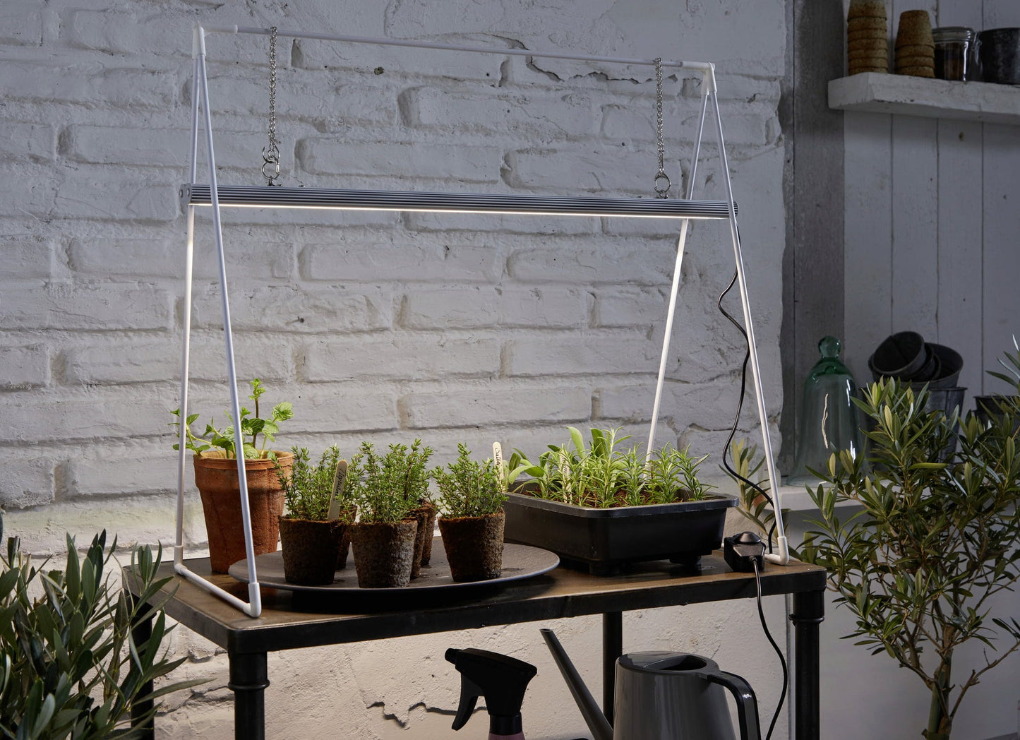  GrowLight Duo Mit Stativ