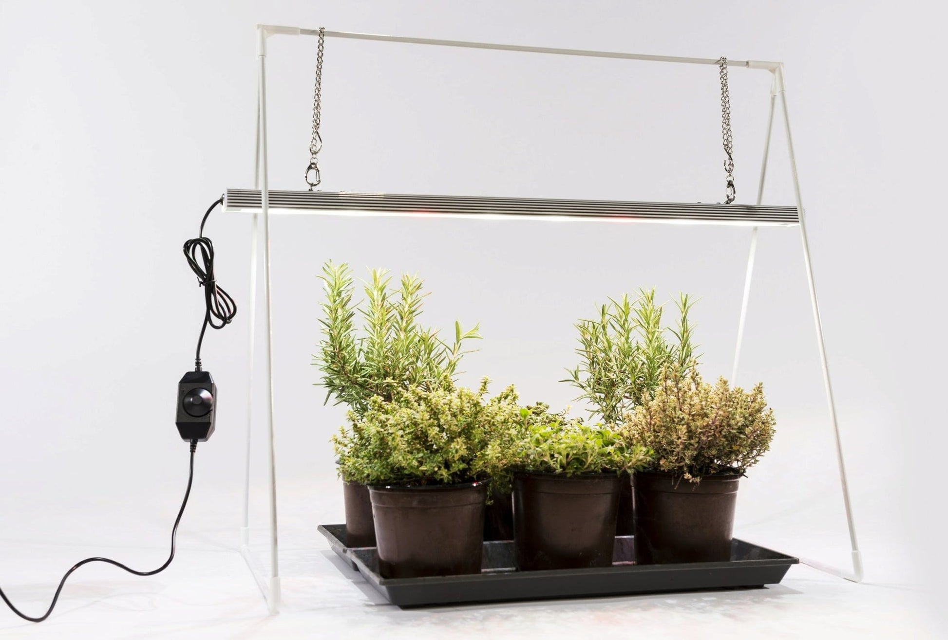  GrowLight Duo Mit Stativ