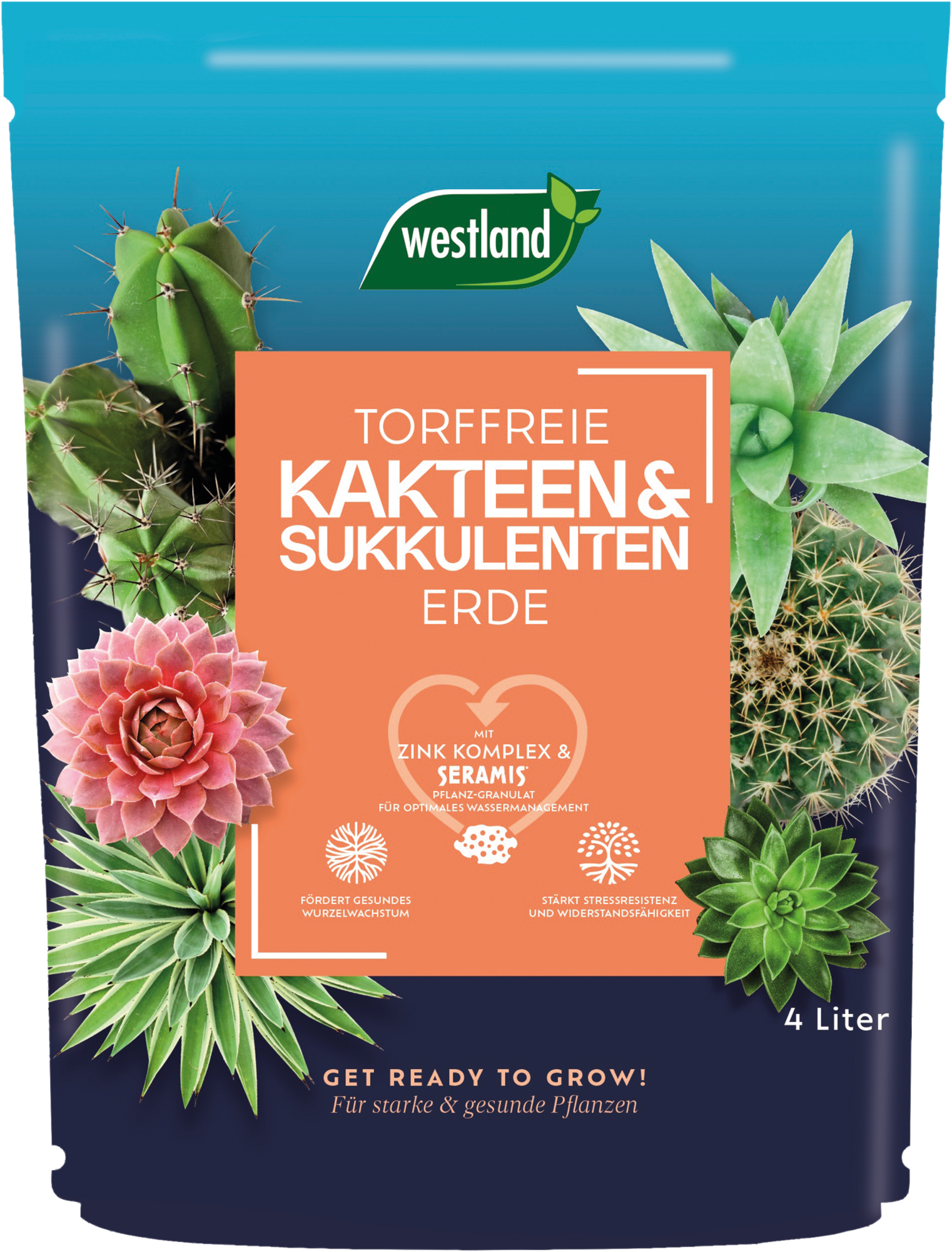 Westland Kakteen & Sukkulenten Erde TF, 4 L