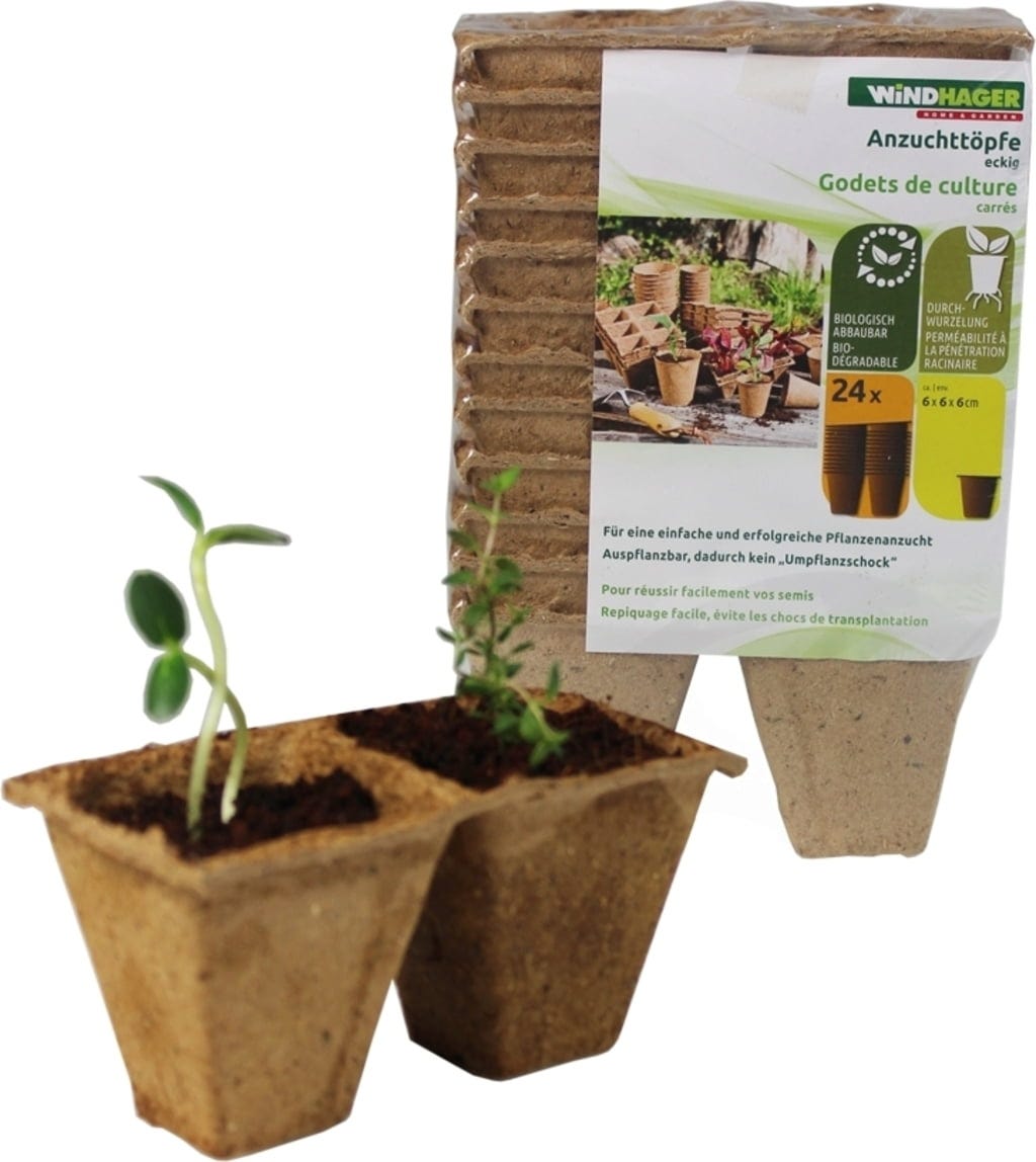 Windhager Anzucht-Töpfe 6 Cm Eckig, 6x12x6 Cm (24 Stück)