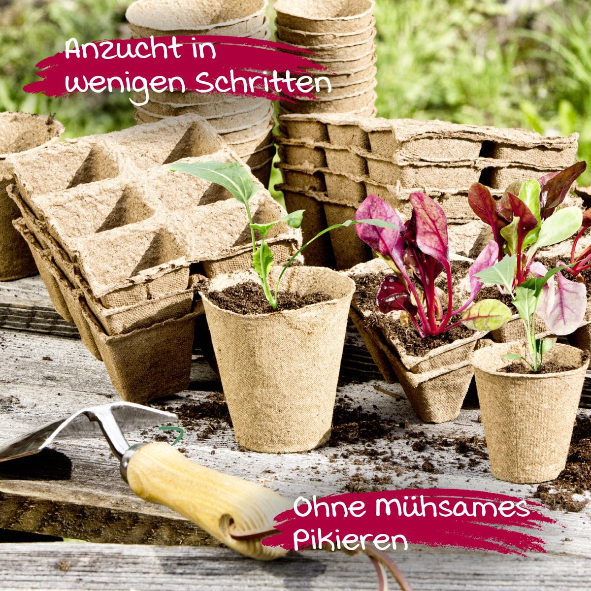 Windhager Anzucht-Töpfe 8 Cm Rund, 16 Stück