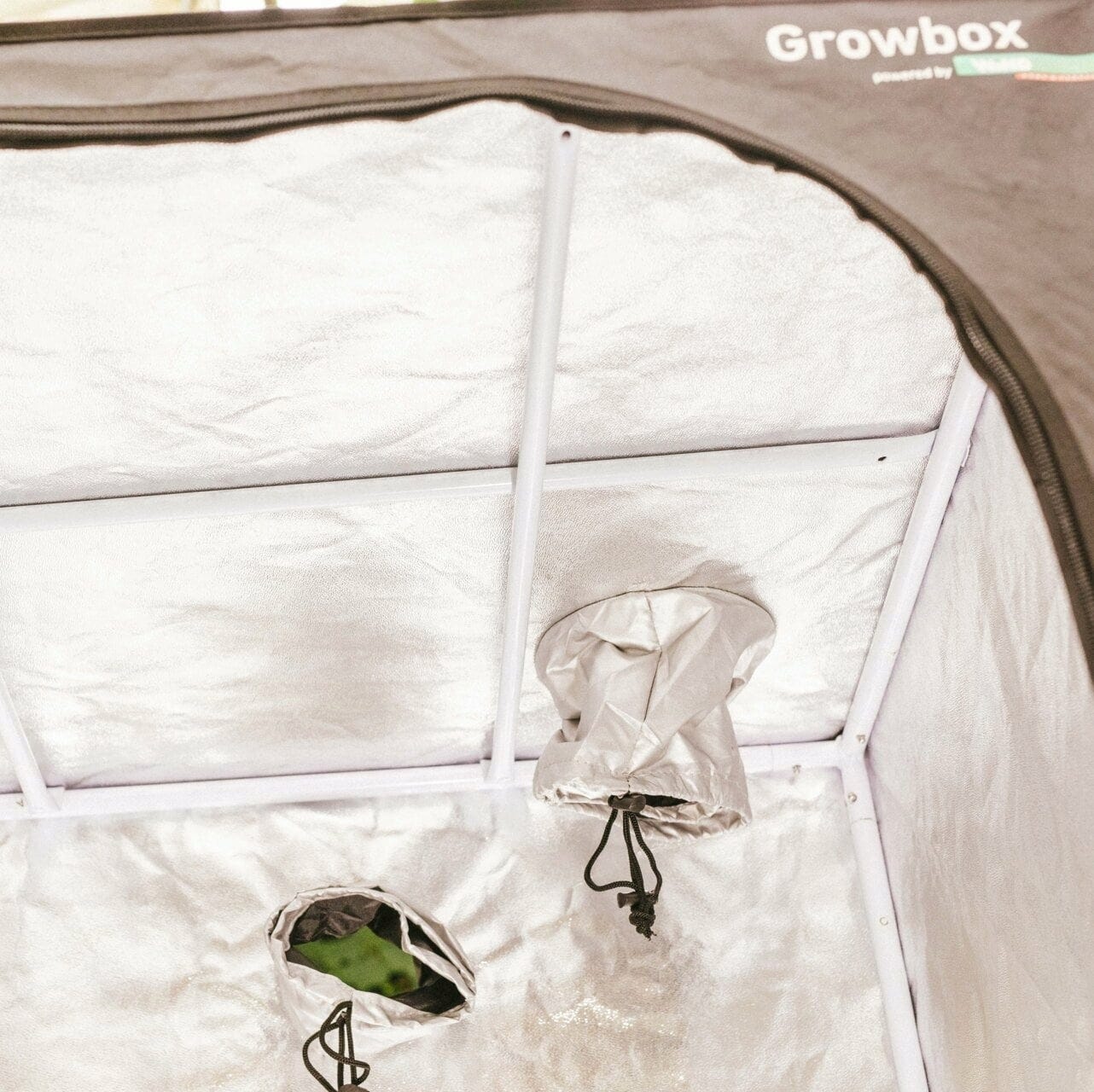 Windhager Growbox Starterset