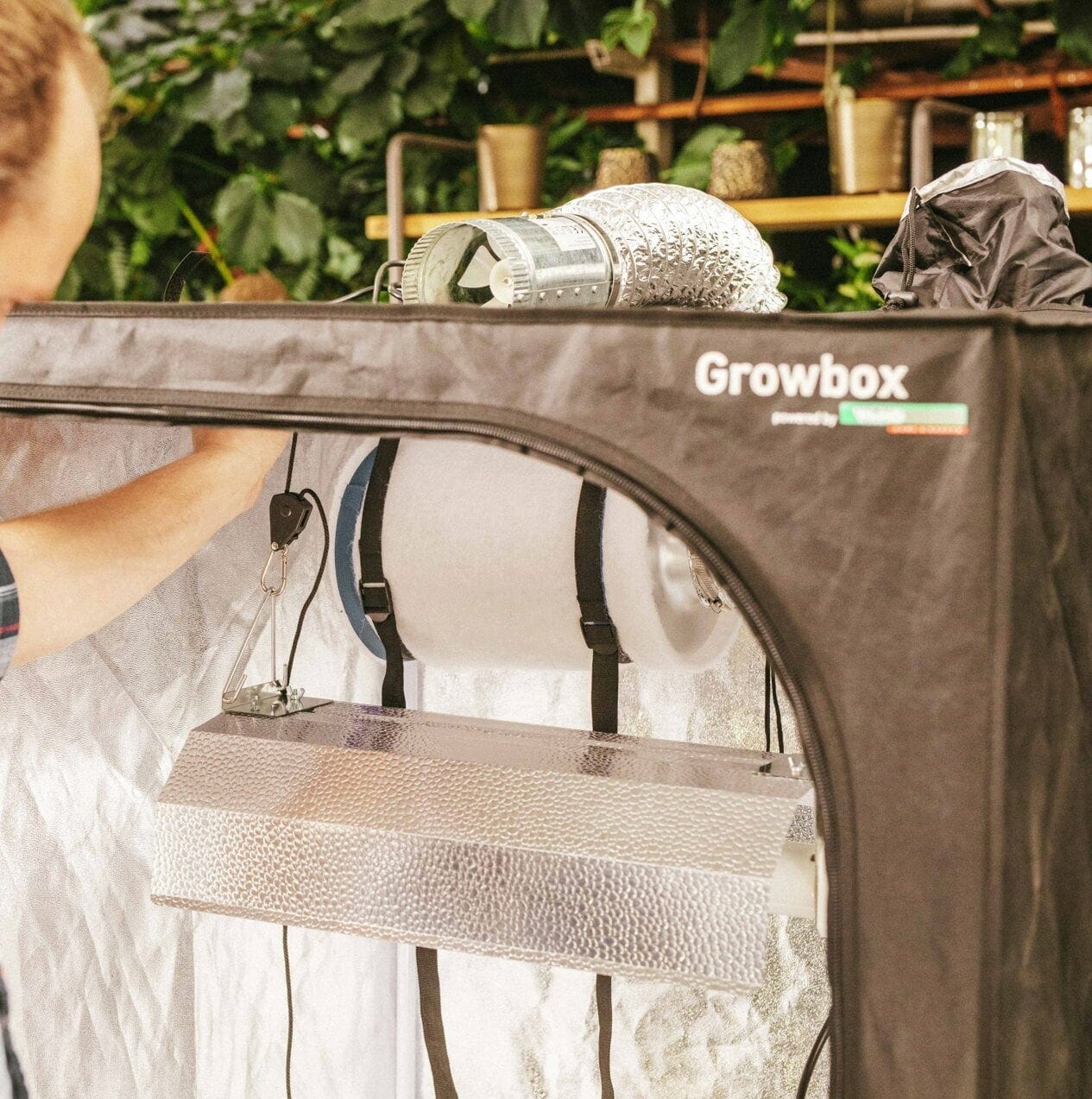 Windhager Growbox Starterset