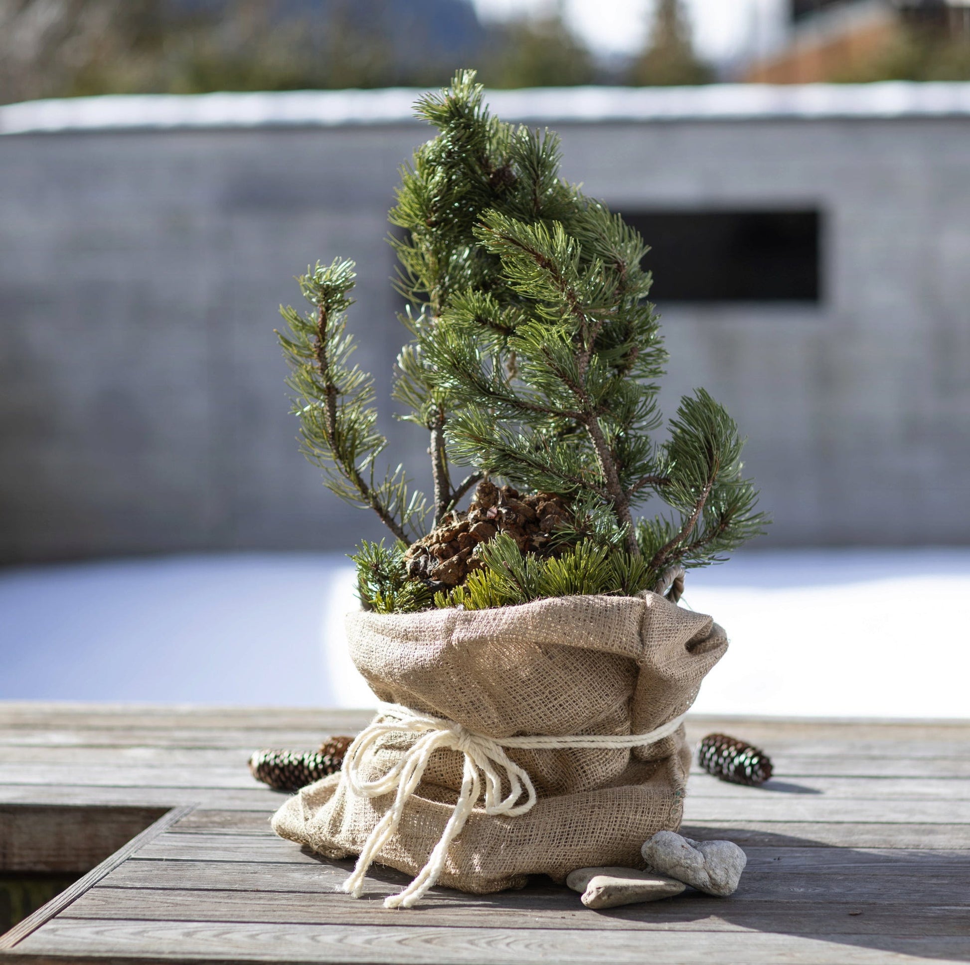 Windhager Jute-Sack Natur Öko, 3er Pack