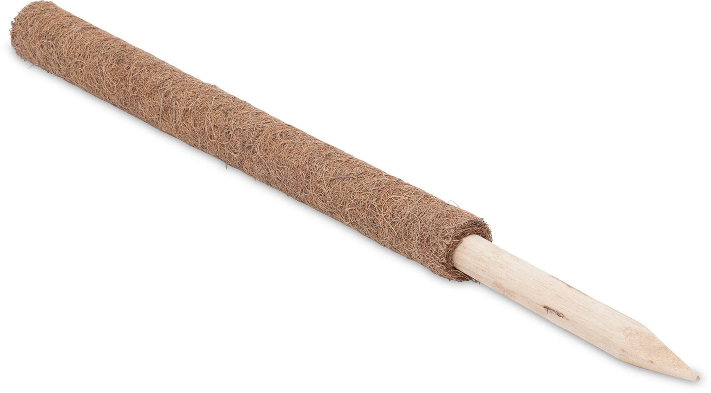 Windhager Kokos-Pflanzstab - 60 Cm, 60cm