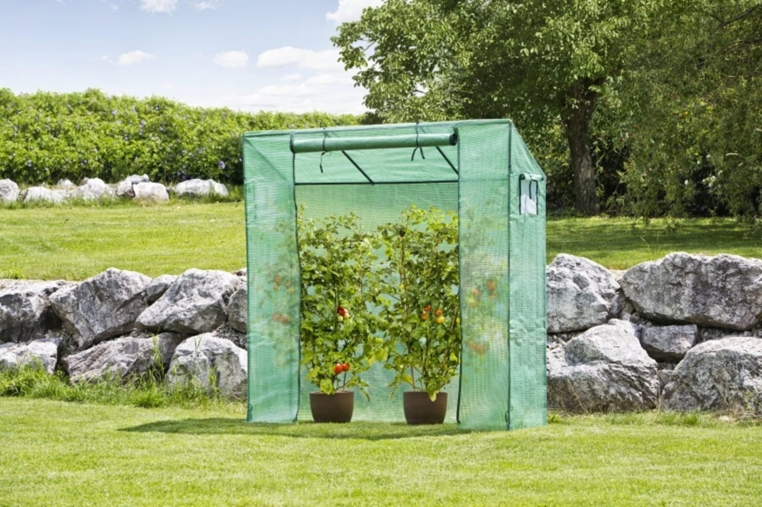 Windhager Tomatengewächshaus