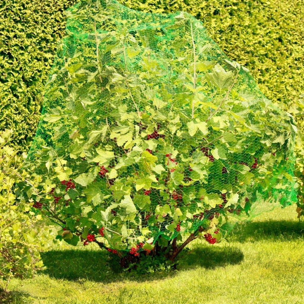 Windhager Vogelschutz-Netz RATIONAL, 8x8m