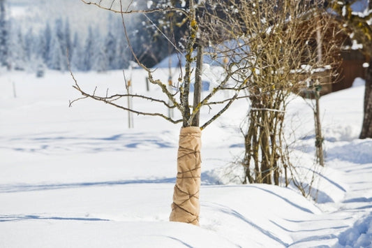 Windhager Winter-Vlies SUPERPROTECT - 3x1,5m