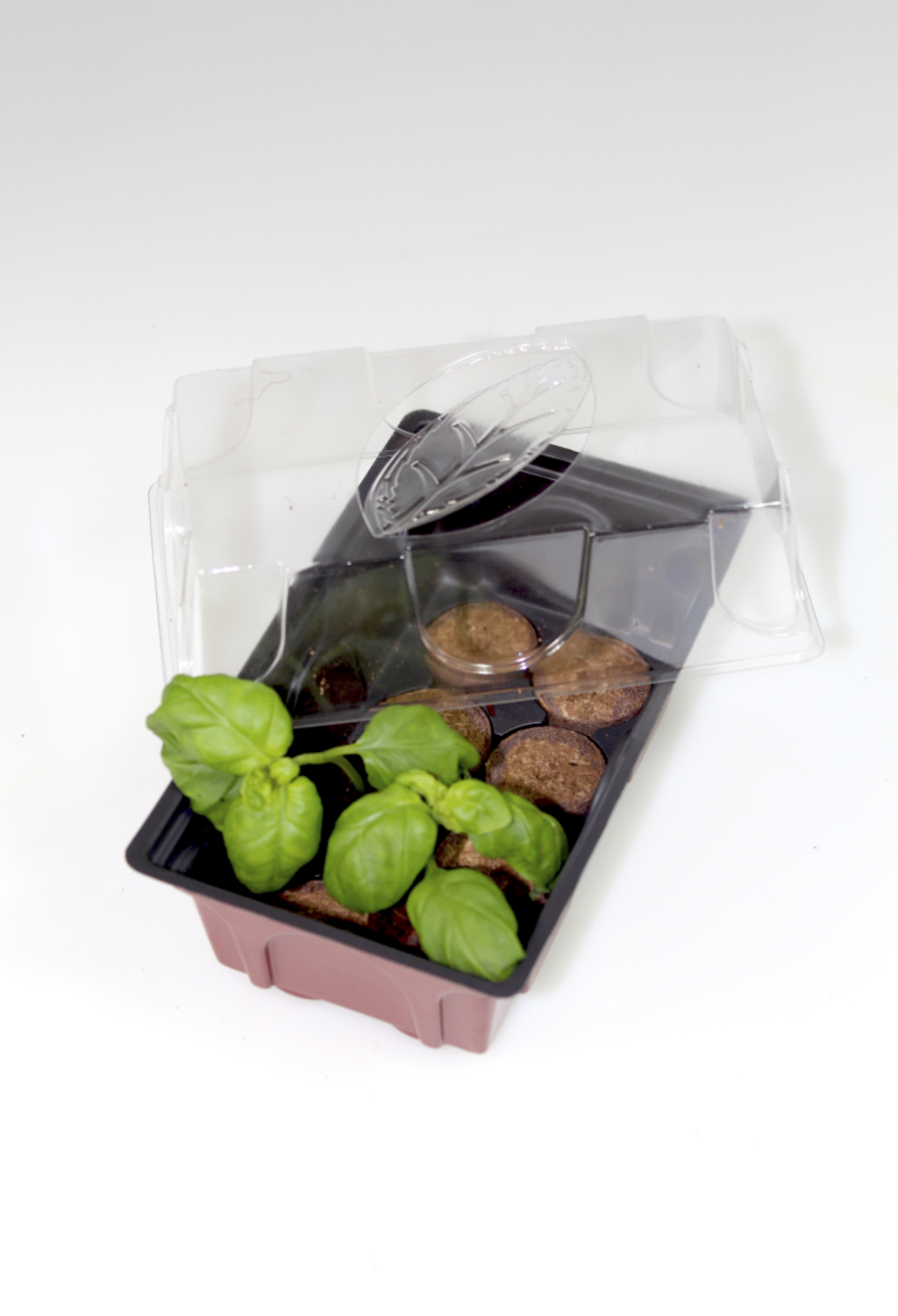 Windhager Zimmer-Treibhaus Mini Mit 8x Quelltabs